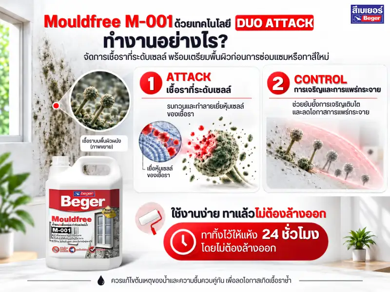น้ำลด อย่าเพิ่งวางใจ! นักวิจัยเบเยอร์เตือน