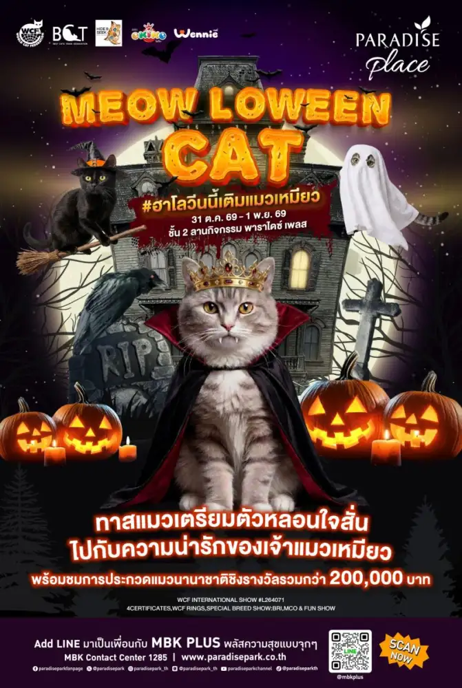 ทาสแมวห้ามพลาด! พาราไดซ์ เพลส เสิร์ฟความฟินรับฮาโลวีน จัดประกวดแมวนานาชาติ