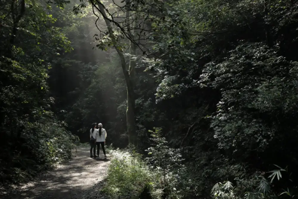 Hiking in Thailand: Discover the Golden Triangle on Foot at Four Seasons Tented Camp Golden Triangle